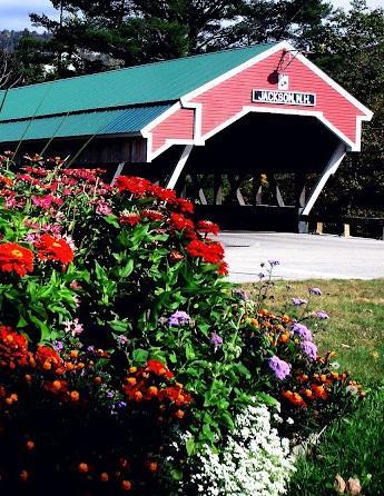 Covered Bridge River View Lodge (Adults Only) Jackson Bagian luar foto